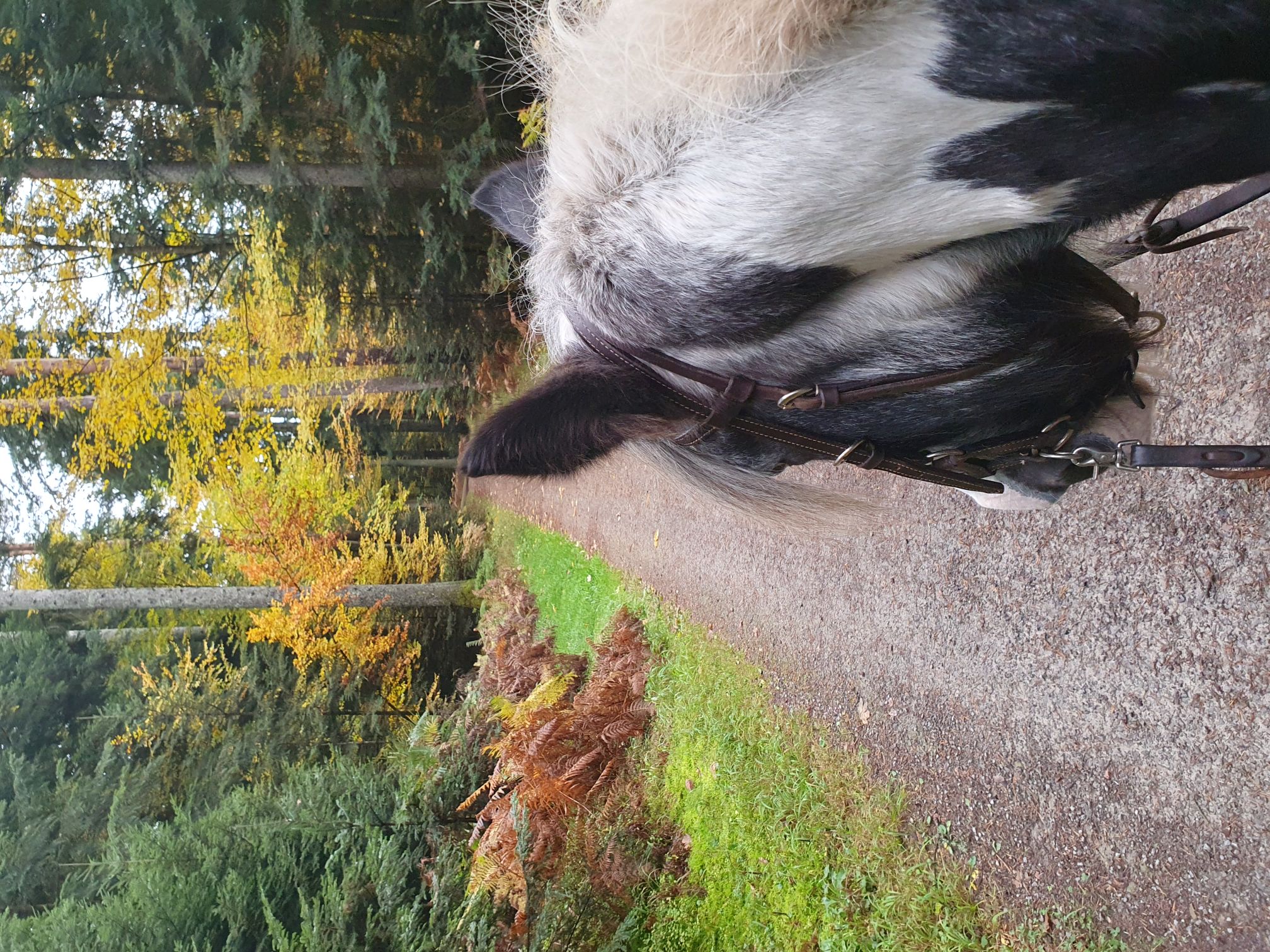 2023 11 November 564